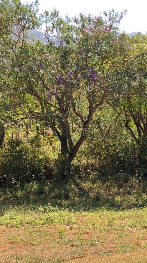 Chales Maricota Vargem Bonita Ngoại thất bức ảnh
